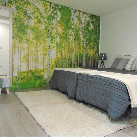 Tarouca Casa Da Fonte 아파트 외부 사진